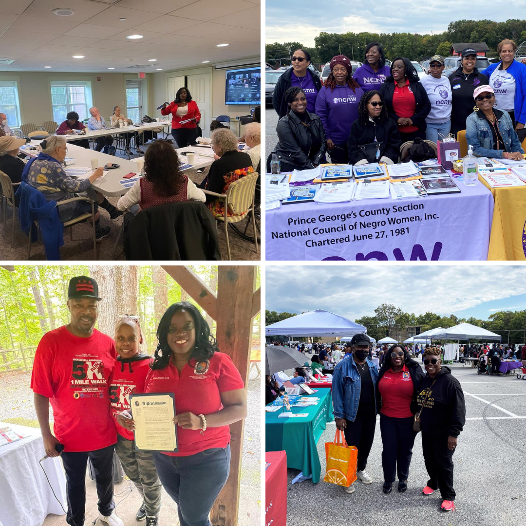 Untitled design (14)