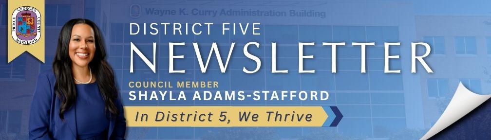 SASNewsletterHeaderTagline