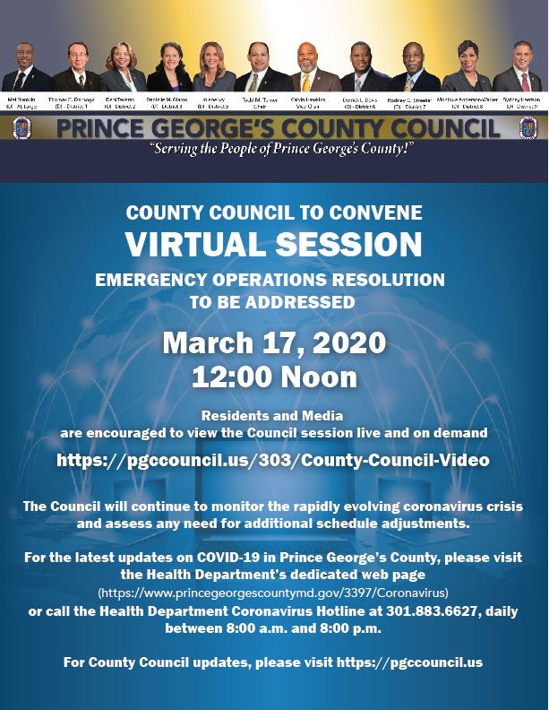 Council Virtual Session